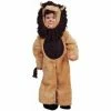 Fun Plus Kids Costumes Child Lion Costume