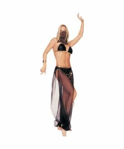 BOSP Adult Costumes Adult Sexy Harem Dancer Costume