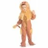 Rubies Toddler Wizard Of Oz Cowardly Lion Costume Kids Costumes