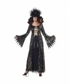 California Costume Co. Adult Spider Witch Costume