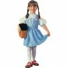 Charades Kids Costumes Toddler Dorothy Costume