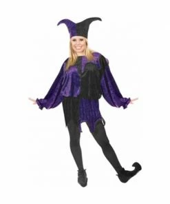 Charades Adult Jester Costume Adult Costumes