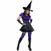 Charades Adult Storybook Witch Costume Adult Costumes 2 Charades Adult Storybook Witch Costume Adult Costumes