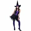 Charades Adult Pixie Witch Costume Adult Costumes