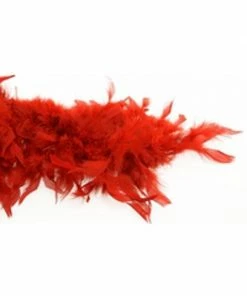 Charades Red Turkey Feather Boa Accessory Kits