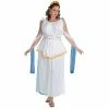 Disguise Adult Costumes Adult Plus Size Athena Costume