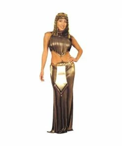 Charades Adult Pleated Cleopatra Costume Adult Costumes