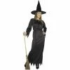 Charades Adult Witch Costume