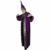 Charades Adult Wizard Costume Adult Costumes
