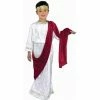 Charades Kids Costumes Child's Caesar Costume 2 Charades Kids Costumes Child's Caesar Costume