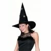 Pony Express Adult Silver Spider Glitter Witch Hat Hats