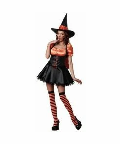Brands On Sale Adult Wicked Witch Costume Adult Costumes