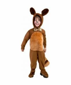 Donal Costumes Toddler Deluxe Raccoon Costume Kids Costumes