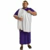 Rubies Adult Plus Size Julius Caesar Costume Adult Costumes