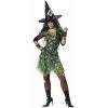 California Costume Co. Adult Costumes Adult Punk Rocker Witch Costume