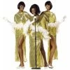Exclusive Adult Costumes Adult Supremes Dream Girls Costume