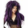 California Costume Co. Wigs Black & Purple Witch Wig