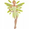 Underwraps Adult Costumes Adult Green Nymph Fairy Dress Costume W/ Wings