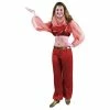 Charades Child's Fashion Harem Dancer Costume