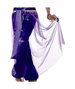 California Costume Co. Adult Purple Belly Dancer Costume Adult Costumes