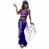 California Costume Co. Adult Purple Belly Dancer Costume Adult Costumes