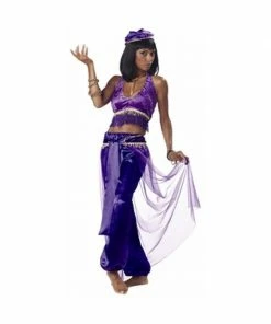 California Costume Co. Adult Purple Belly Dancer Costume Adult Costumes