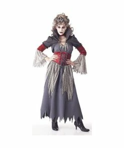 Brands On Sale Adult Costumes Adult Women's Edwardian Dress Costume