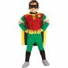 Rubies Child's Deluxe Muscle Chest Robin Costume