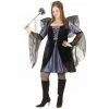 Fun World Adult Plus Size Sexy Sweet Fairy Costume Adult Costumes