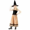 Fun World Childs Elegant Witch Costume Kids Costumes