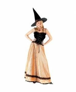 Fun World Adult Elegant Witch Costume