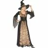 Fun World Adult Elegant Coffin Witch Costume