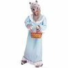 Forum Novelties Inc. Adult Granny Wolf Costume Adult Costumes
