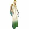 Charades Adult Costumes Adult Grecian Princess Costume