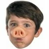Disguise Pig Nose Mask Masks