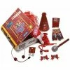 Rubies Childs High School Musical Cheerleader Dress Up Costume Set Accessory Kits