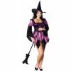 Rubies Adult Costumes Adult Purple Plus Size Sexy Witch Costume