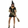 Rubies Adult Sexy Wicked Witch Of The West Costume Adult Costumes