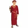 Forum Novelties Inc. Childs Burgundy Wise Man Biblical Costume Kids Costumes