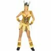 Fun World Adult Women's Sexy Viking Vixen Costume
