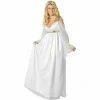 Secrets Adult Costumes Adult Helen Of Troy Costume 2 Secrets Adult Costumes Adult Helen Of Troy Costume