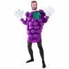 Exclusive Adult Purple Grapes Costume Adult Costumes