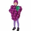 Exclusive Toddler Grapes Costume Kids Costumes