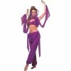 Forum Novelties Inc. Adult Arabian Princess Costume Adult Costumes