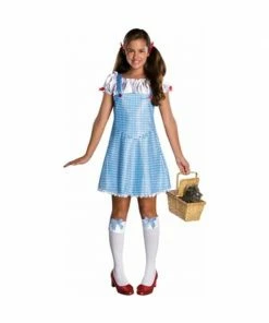 Rubies Teen Wizard Of Oz Dorothy Costume Kids Costumes
