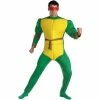 Disguise Adult Costumes Adult Ninja Turtle Costume
