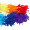 Be Wicked Rainbow Pride Boa Accessory Kits