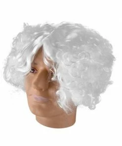 Lacey Wigs Adult Mad Scientist Wig