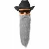 Lacey Wigs Adult Gray ZZ Costume Beard