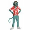 Rubies Child's Hawaiian Rango Costume